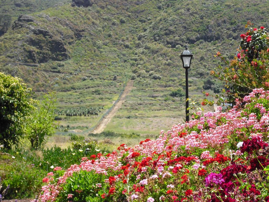 Finca El Picacho Apartments In The Countryside 2 Km From The Beach Tejina الغرفة الصورة