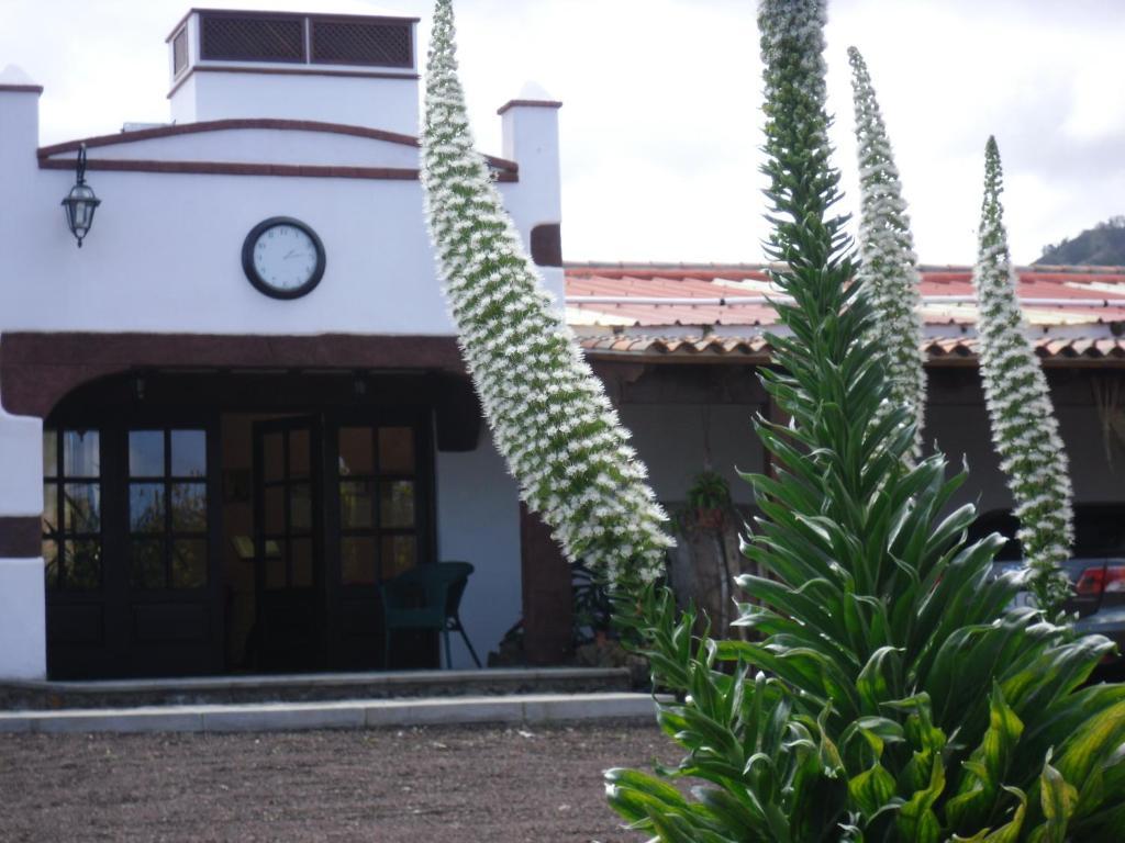 Finca El Picacho Apartments In The Countryside 2 Km From The Beach Tejina المظهر الخارجي الصورة