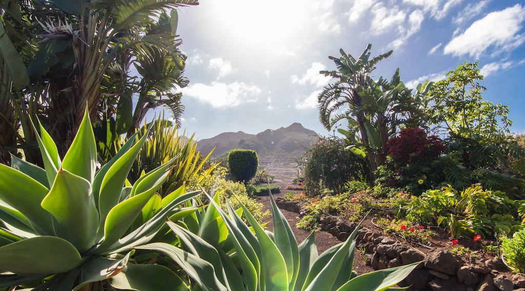 Finca El Picacho Apartments In The Countryside 2 Km From The Beach Tejina الغرفة الصورة